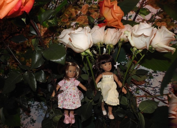 Куклы Kidz n Cats из серии Minis