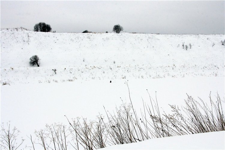 Снежный Март — Туризм и путешествия: фотоотчеты из поездок