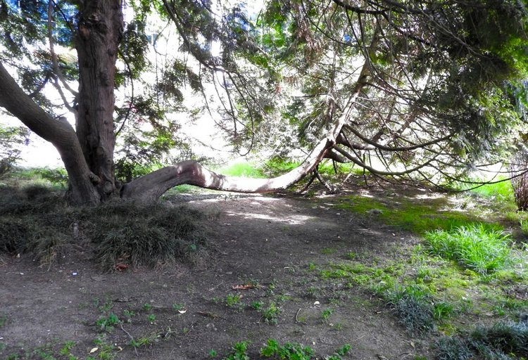 Краснодарский Край, Сочи-Адлер, Санаторий «Южное Взморье»