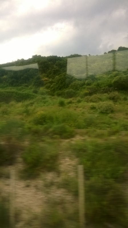 Экскурсия с Маргошей на Метеоры (материковая Греция) часть вторая