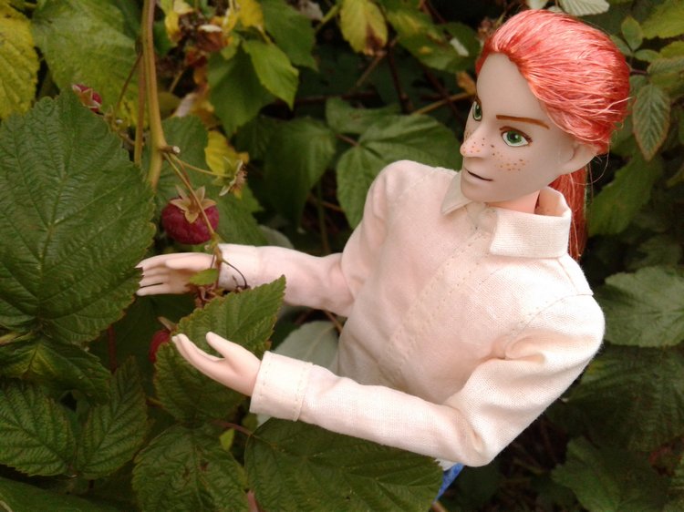 Кто же там, в малиннике — Куклы и тела Obitsu (Обитсу): 1/6 (фото 3)