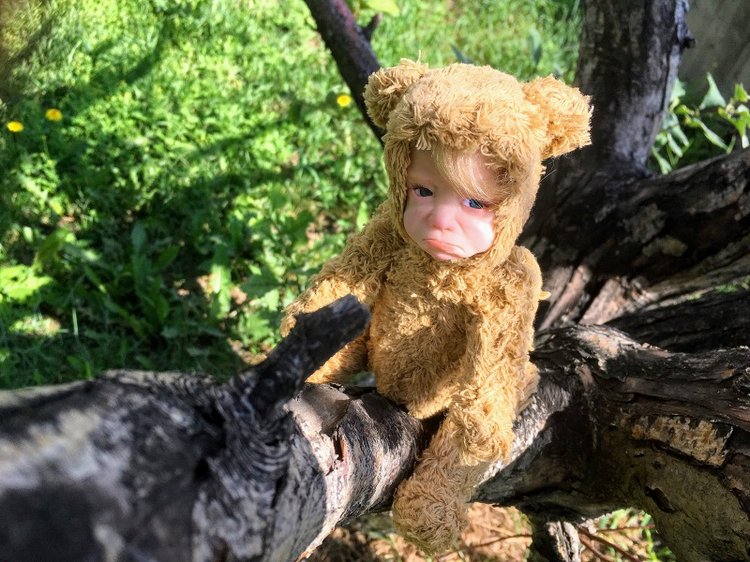 Teddy doll — Авторские куклы Тедди (фото 6)