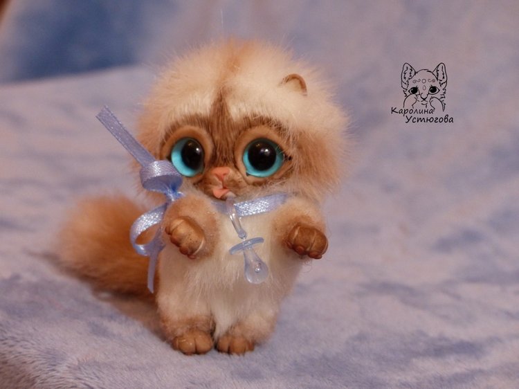 Сиамский котеночек-ребеночек (фото 6)