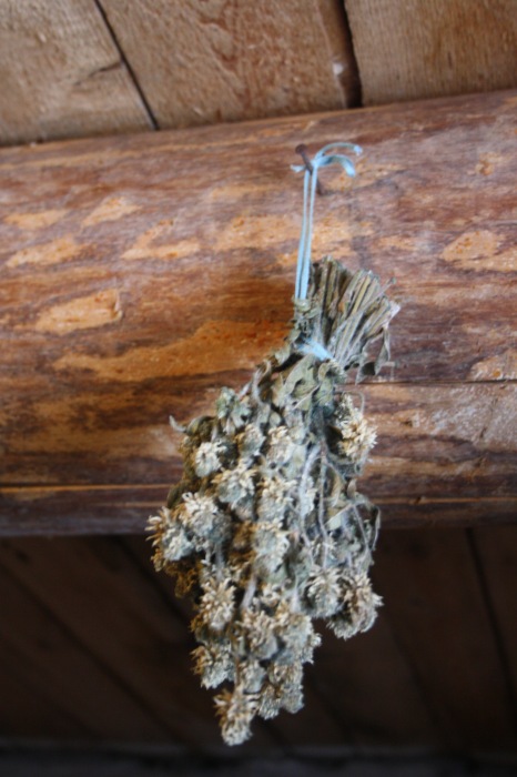 В гости к сето — Туризм и путешествия: фотоотчеты из поездок