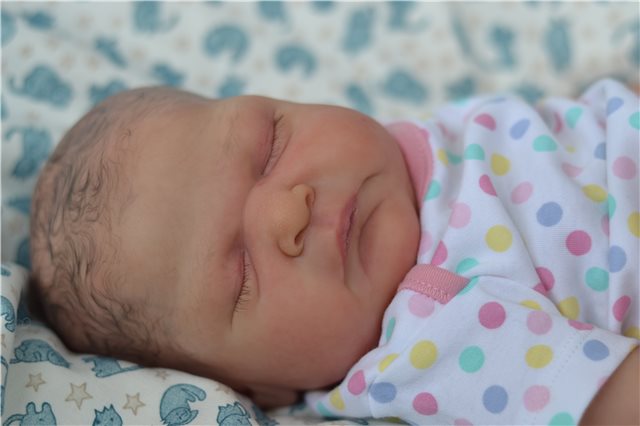 Мои новорожденные малыши. Кукла реборн | Бэйбики Мои новорожденные малыши. Кукла реборн (фото 5)