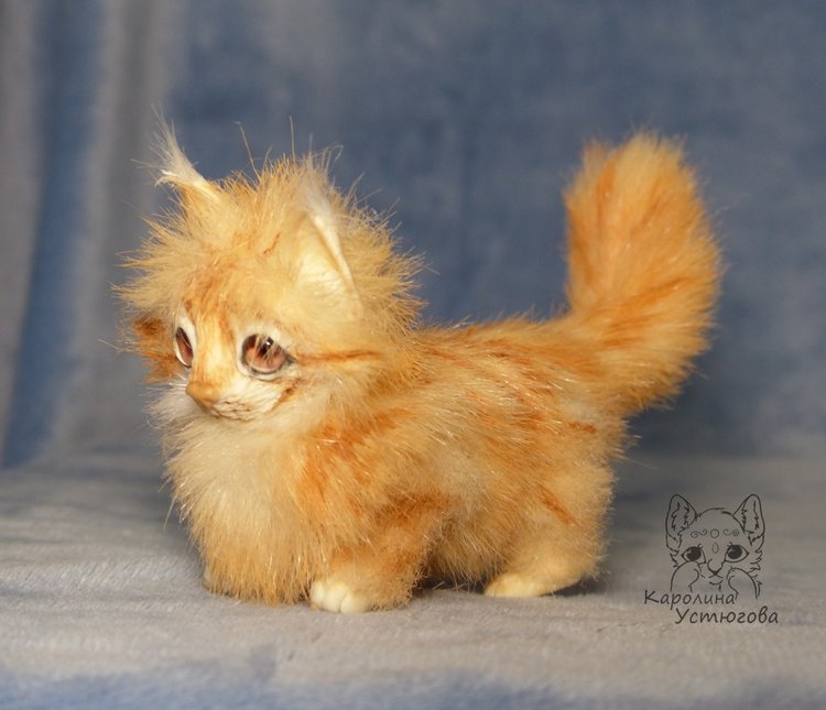 Мейн-ку́н, миниатюра. Рыженький