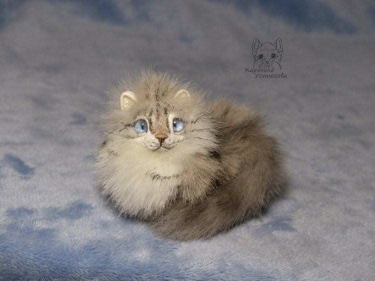 Котята Невские маскарадные, окрас Тэбби пойнт