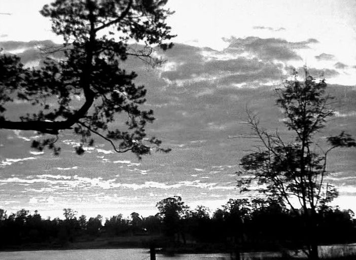 Летнее путешествие с Бенни | Бэйбики Летнее путешествие с Бенни