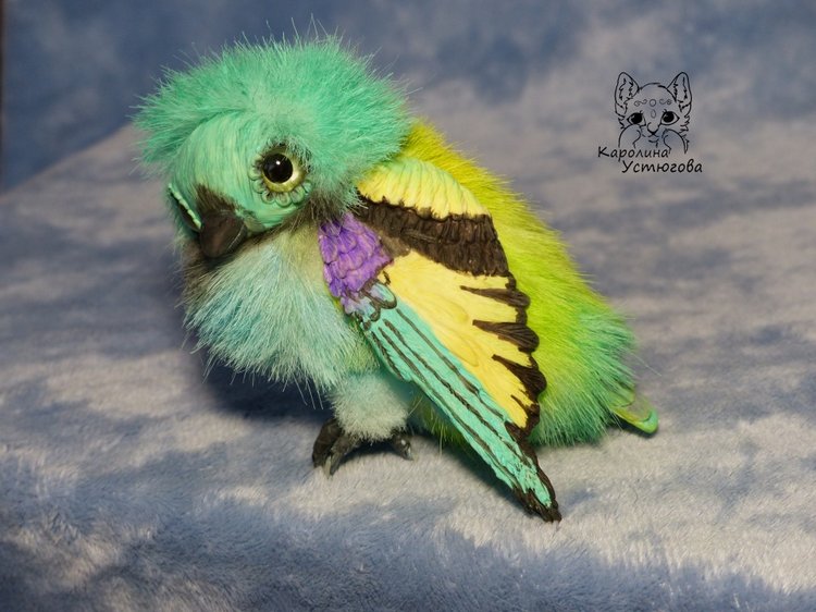 Зеленоголовая танагра, чудо птичка