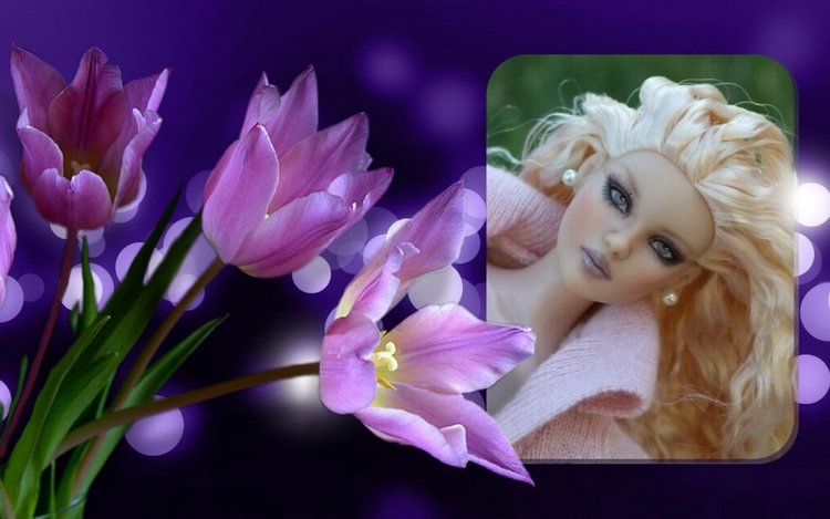 Мои Тоннерки. Фотозарисовки