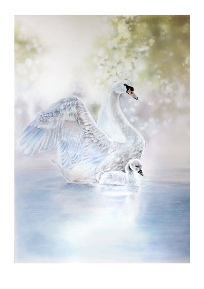 BrigitteMayArt - Иллюстрированная флора и фауна by Brigitte May