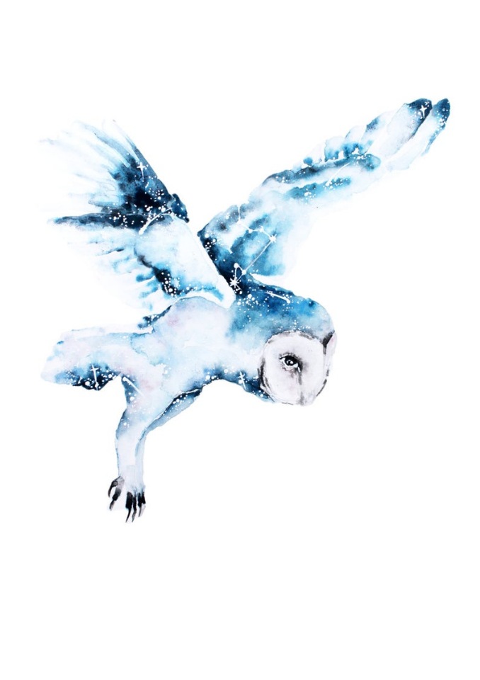 BrigitteMayArt - Иллюстрированная флора и фауна by Brigitte May