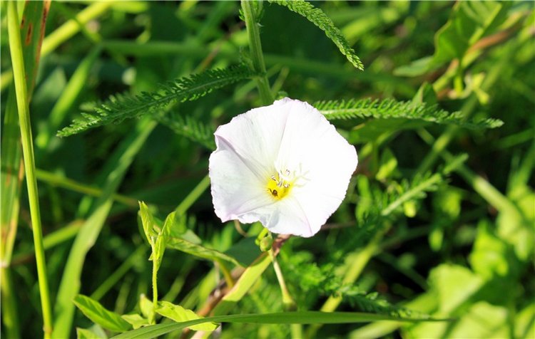 Путешествие Эли на красивый берег реки Волги