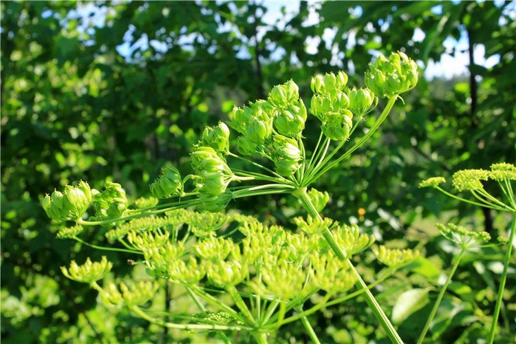 Путешествие Эли на красивый берег реки Волги