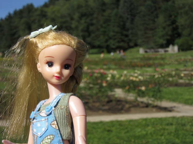 Горячее солнышко Кисловодска