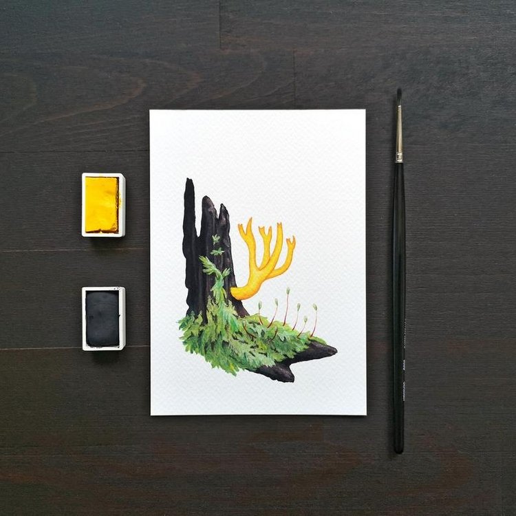 SnailMaidenStudio - Акварельные иллюстрации маленьких живых существ (фото 3)