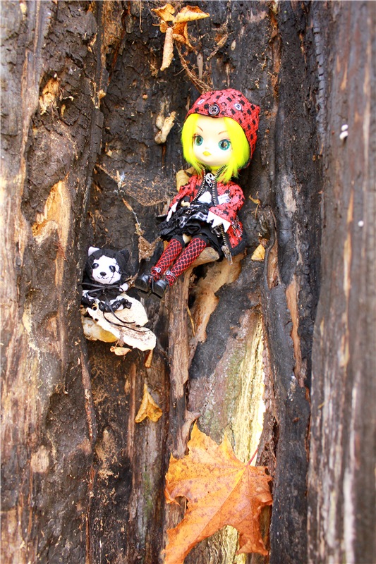 Путешествие Dal Hangry в Грузины, продолжение