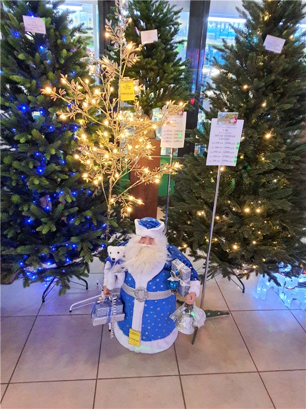 Праздничная Тверь. Время подарков, продолжение (фото 4)