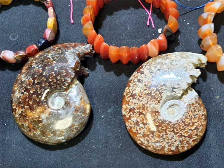 Выставка "Самоцветы Мира" в Твери, продолжение