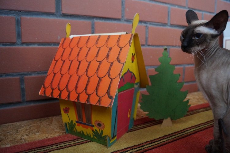 Откроем коробки из детского сада (фото 8)