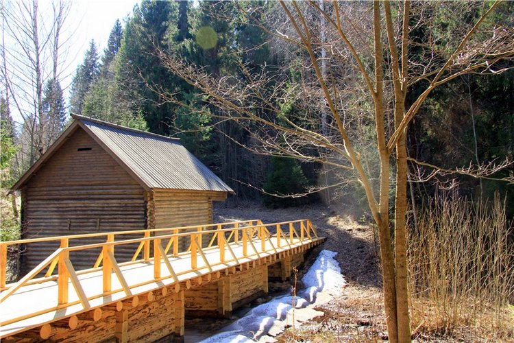 Апрельский день в Василёво, третья часть (фото 7)