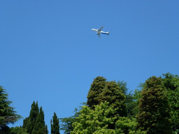 Краснодарский Край, Сочи-Адлер, Санаторий «Южное Взморье»