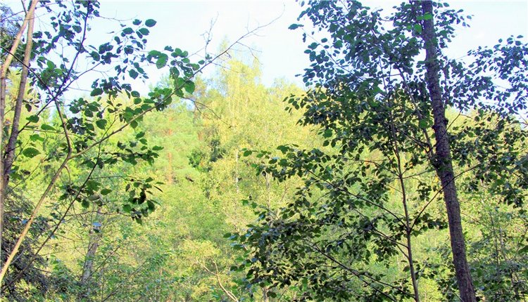 Старицкая Швейцария. Старицкие пещеры, д. Толпино