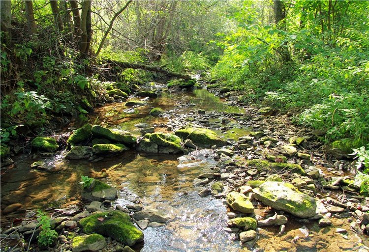 Старицкая Швейцария. Путешествие с Сашей, продолжение. Уникальная кукла от Сильвии Наттерер