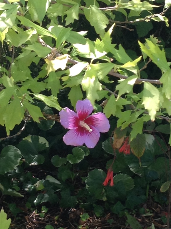 Путешествие Минуш в Испанию. Каталония. Ч.3. Райские сады