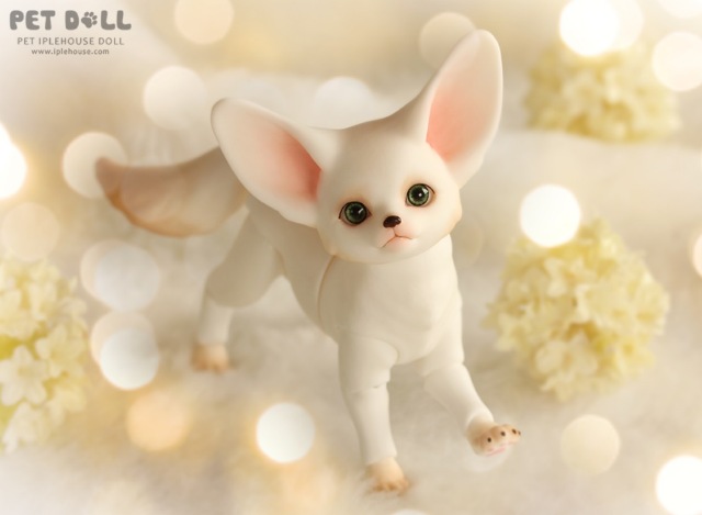 Новинки от Iplehouse - Маленький принц Fay (формат KID) и лис Fennec Fox