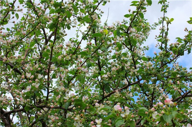 Женя-путешественница — Советские винтажные куклы (СССР): Ленигрушка