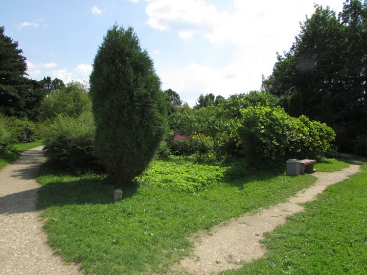 Малышня на прогулке в Бирюлёвском дендропарке