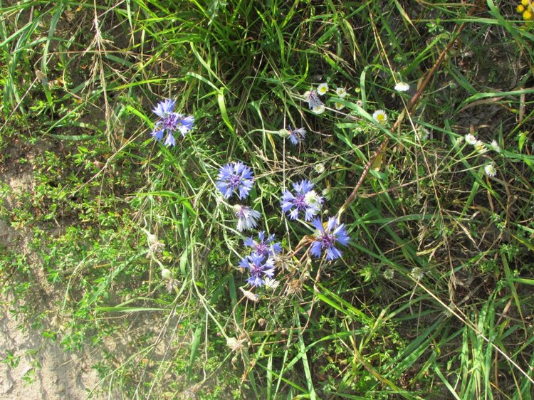 Путешествие в Нижегородскую область - часть 2 - Размещение в деревушке и прогулка по окресностям