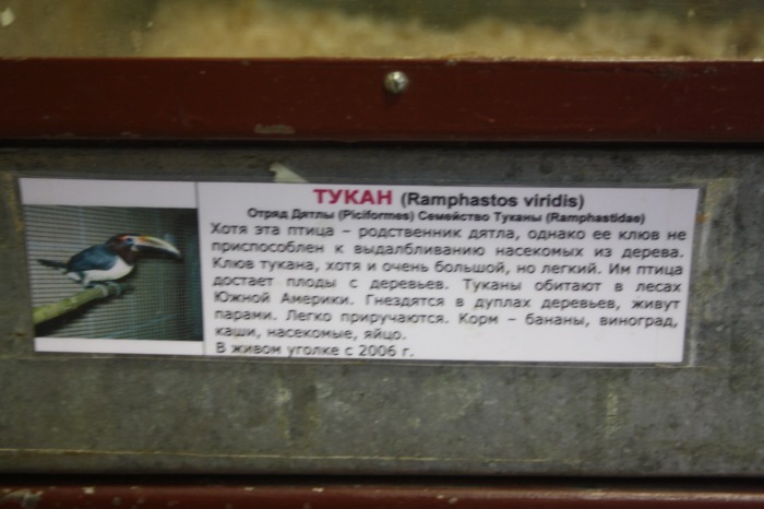 Псков. Эколого-биологический центр. Часть 2