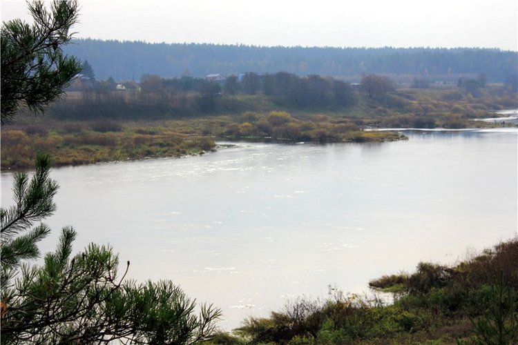 Гришутка — Винтажные куклы ГДР (Немки): Бигги