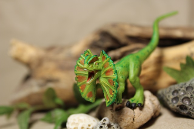 Вы коллекционируете динозавров (фото 5)