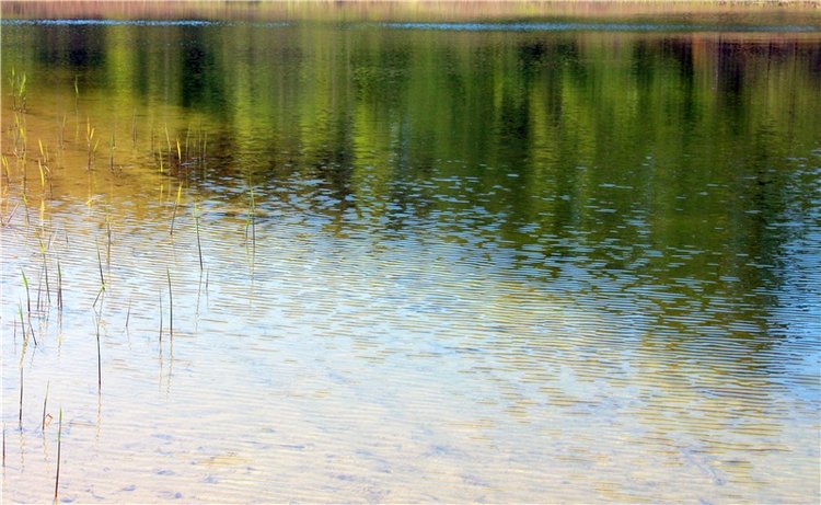 Долгая дорога к Волге. Custom Blythe Doll UFO Go Go Takara