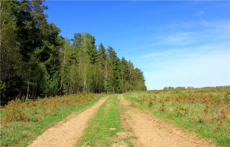 Долгая дорога к Волге. Custom Blythe Doll UFO Go Go Takara