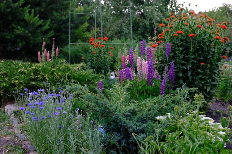 Прогулки с Сарой и Беллой RubiRed Galleria/Effner