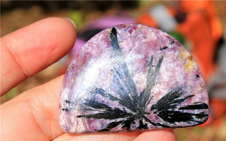 "Троицкие гуляния" в Василёво, 2019 год, продолжение. Архитектурно-этнографический музей под открытым небом Василёво