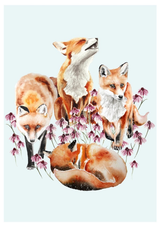 BrigitteMayArt - Иллюстрированная флора и фауна by Brigitte May