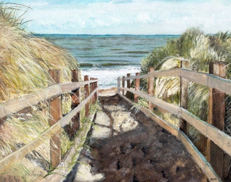 TheColorfulCatStudio - Иллюстрации подводного мира by Rachel Byler