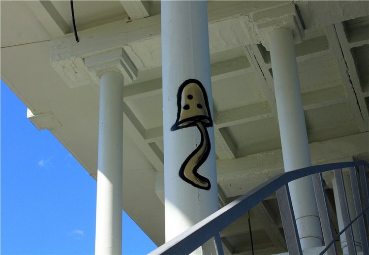 Тайны Древней Старицы — Культура