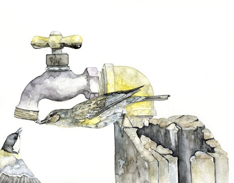 TheColorfulCatStudio - Иллюстрированная фауна by Rachel Byler