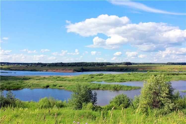 Путешествие Эли на красивый берег реки Волги