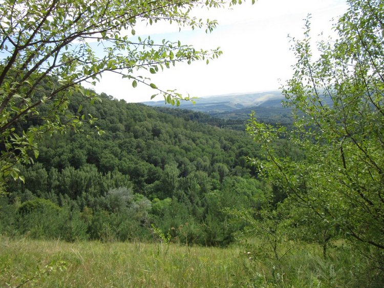 Горячее солнышко Кисловодска