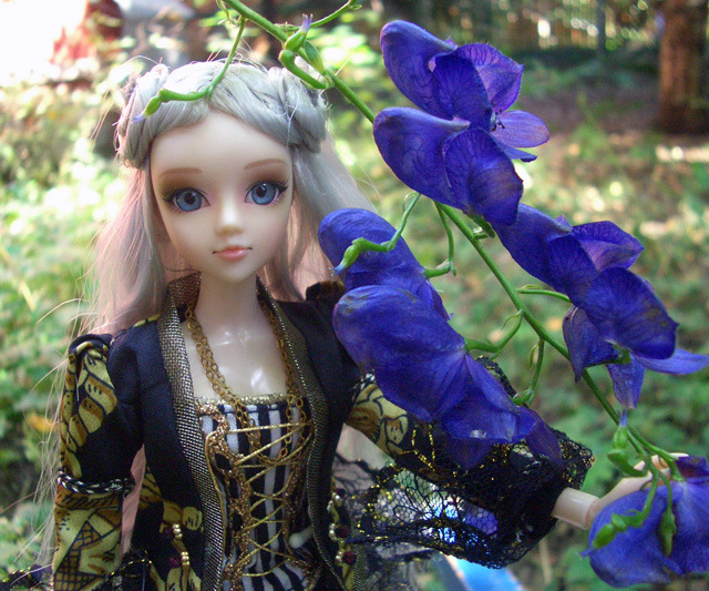 Мой J-doll-квартет — Куклы J