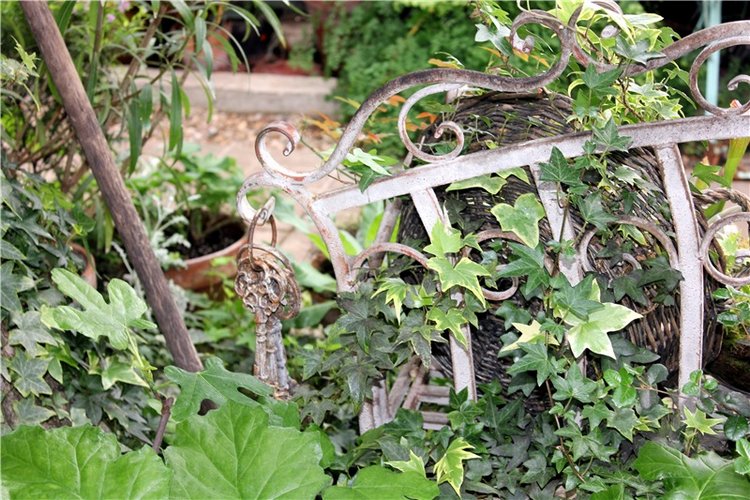 Тверской Ботанический Сад, продолжение | Бэйбики Тверской Ботанический Сад, продолжение