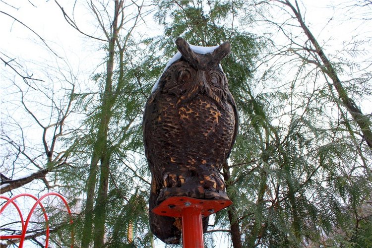 Тверской Ботанический Сад, заключительная часть