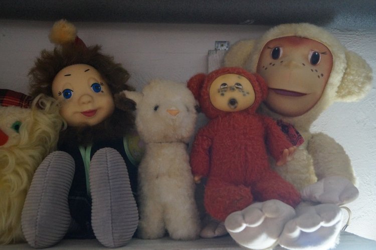 Первая октябрьская выписка. Воссоединение головы и тела. Парикмахерские услуги. Базирон+солнце